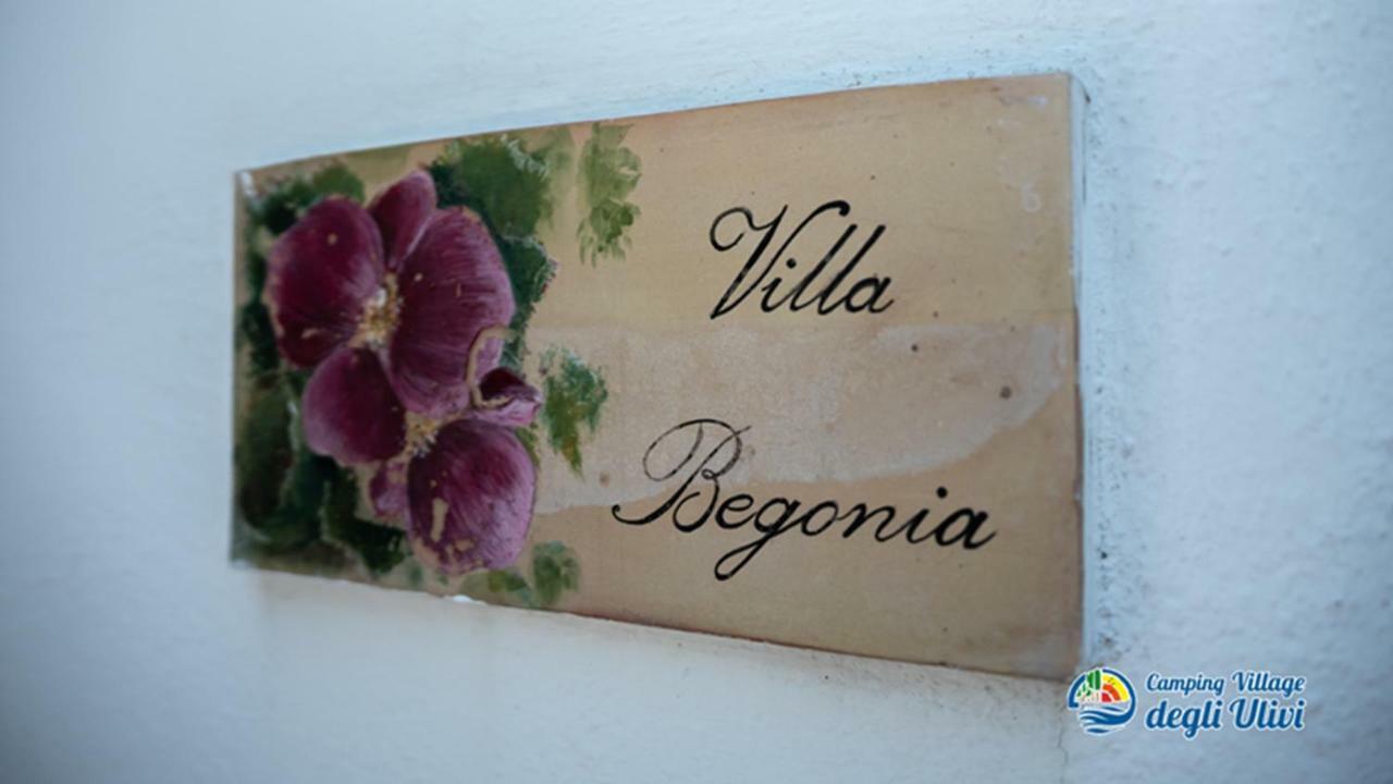 Camping Village Degli Ulivi Mattinata Eksteriør bilde