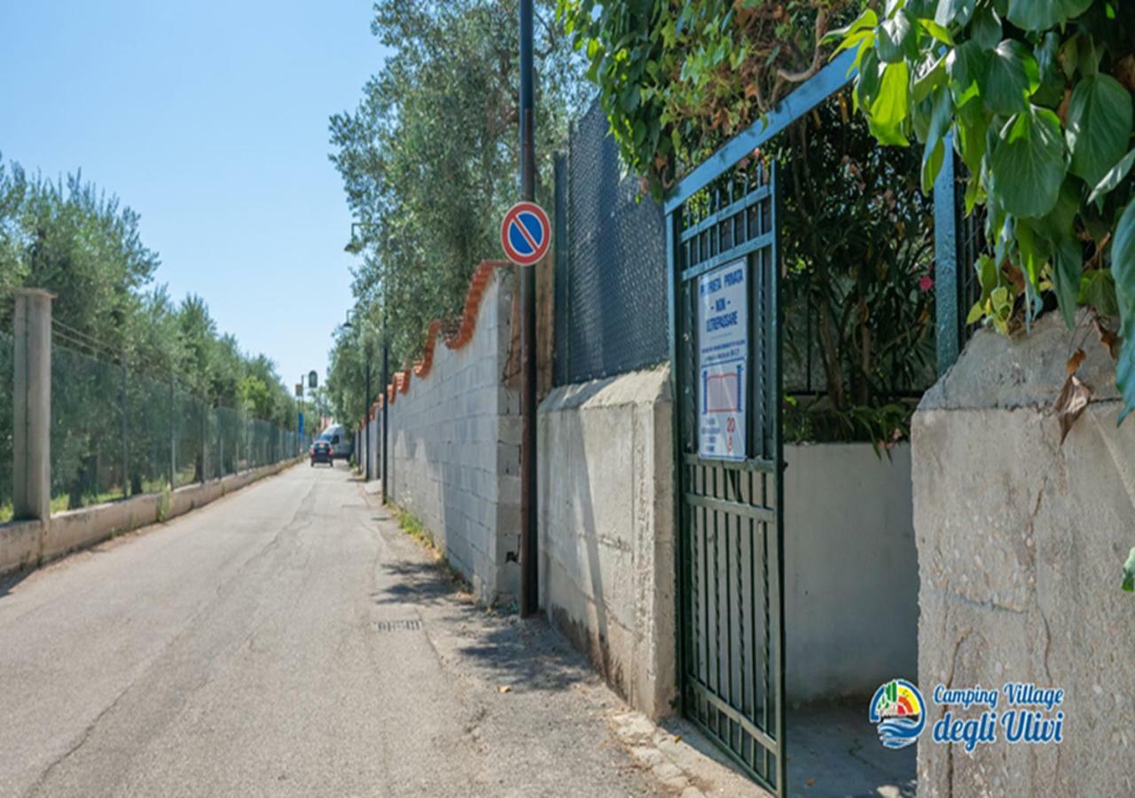 Camping Village Degli Ulivi Mattinata Eksteriør bilde