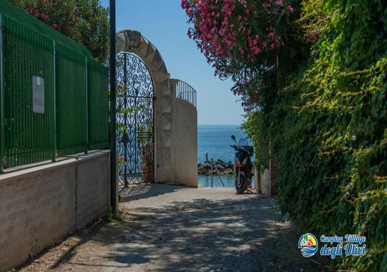 Camping Village Degli Ulivi Mattinata Eksteriør bilde