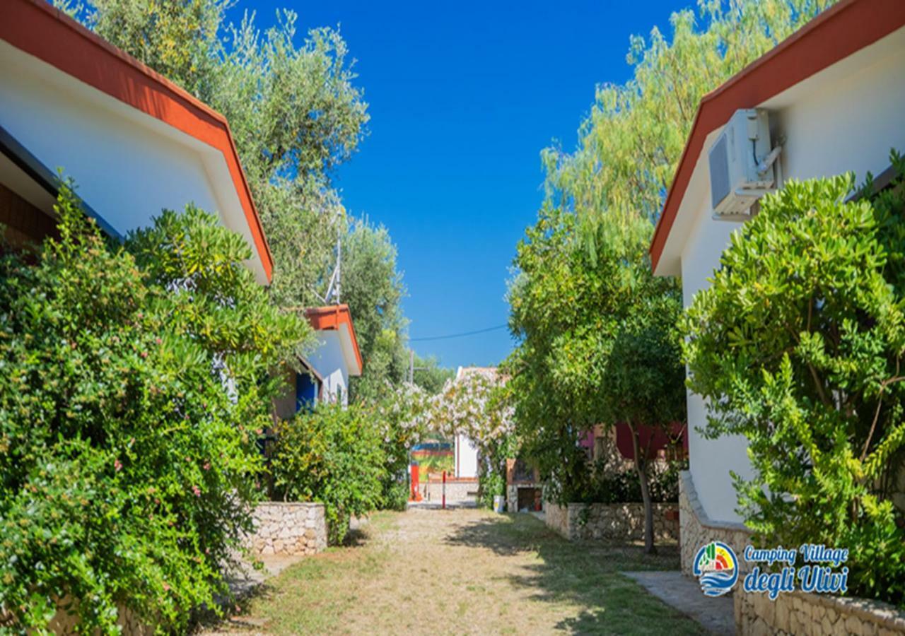 Camping Village Degli Ulivi Mattinata Eksteriør bilde