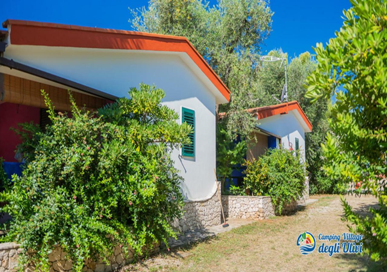 Camping Village Degli Ulivi Mattinata Eksteriør bilde