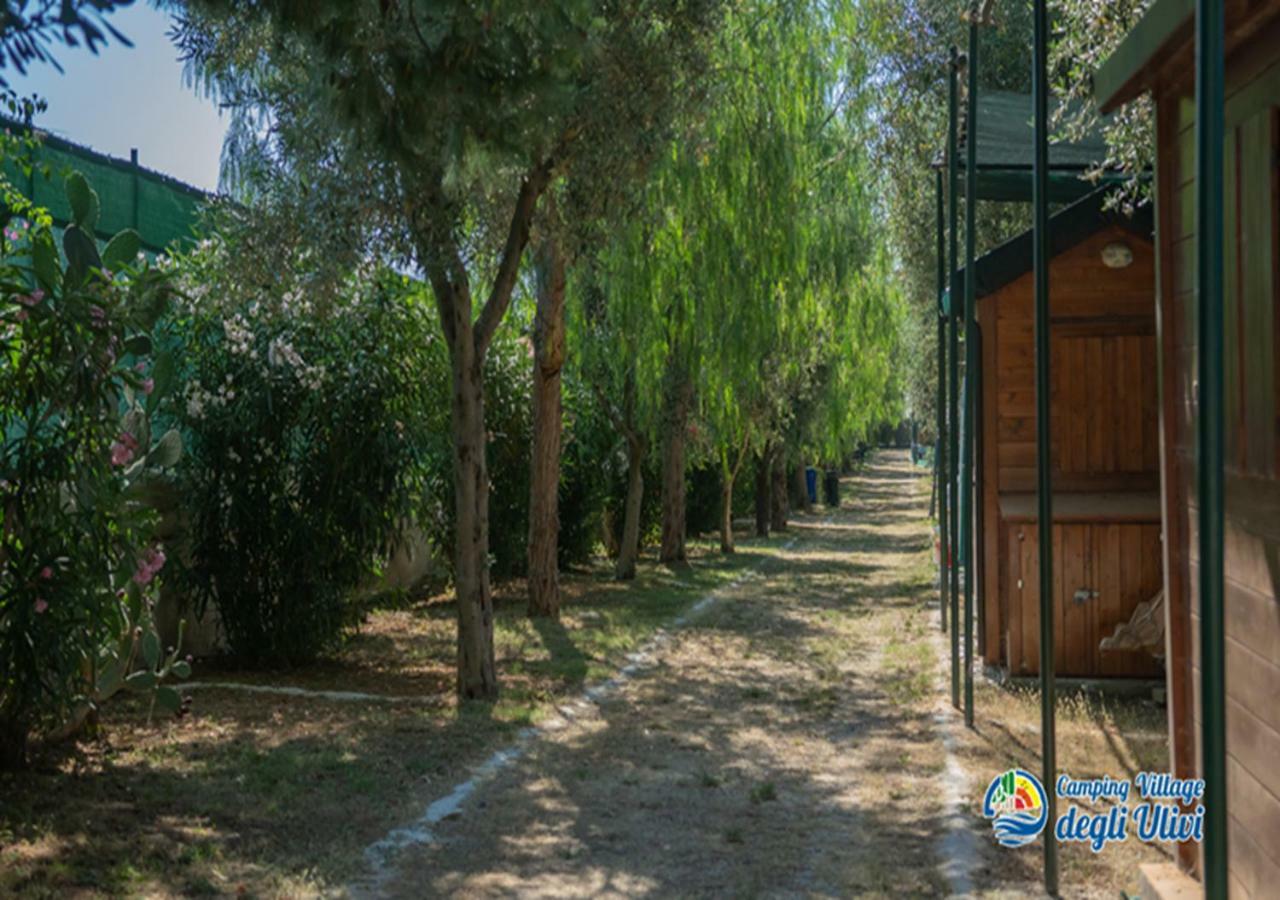 Camping Village Degli Ulivi Mattinata Eksteriør bilde