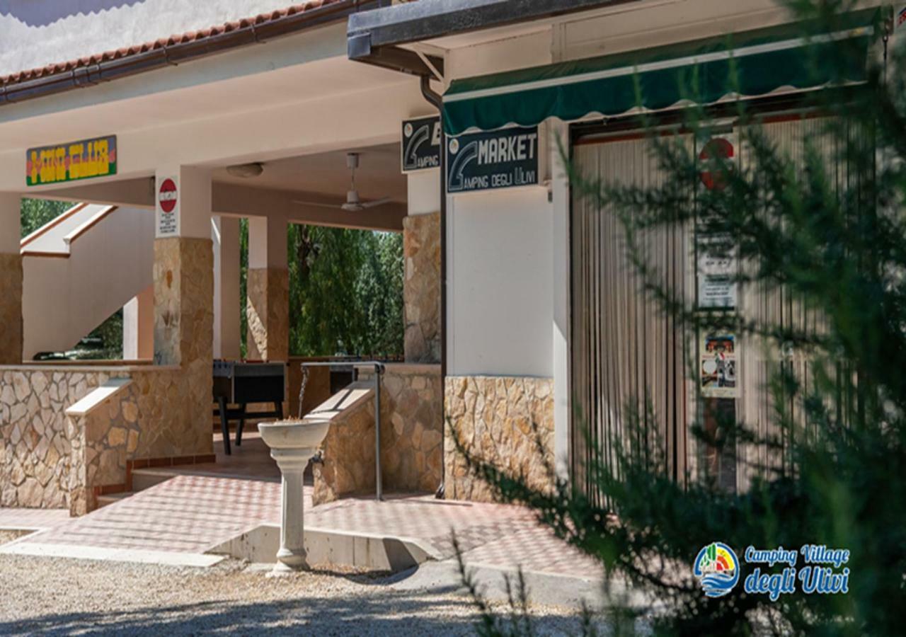 Camping Village Degli Ulivi Mattinata Eksteriør bilde