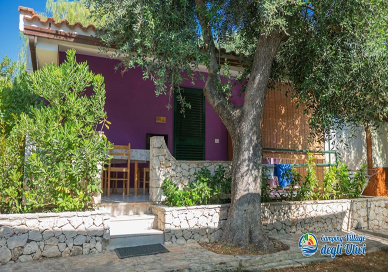 Camping Village Degli Ulivi Mattinata Eksteriør bilde