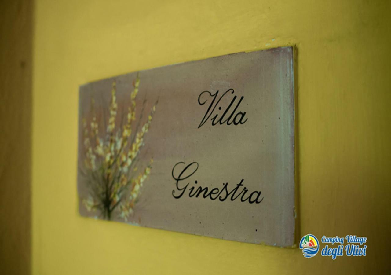 Camping Village Degli Ulivi Mattinata Eksteriør bilde