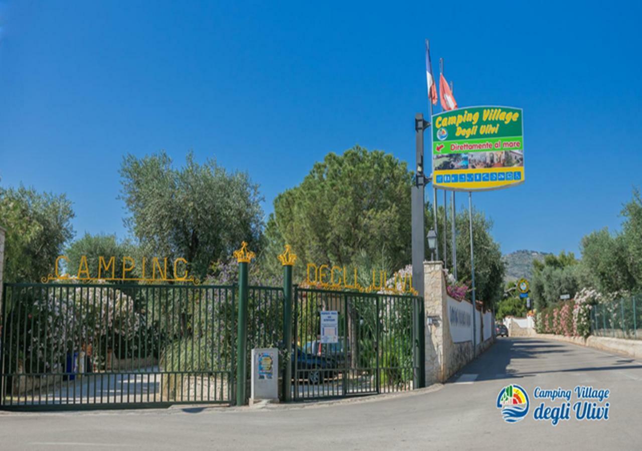 Camping Village Degli Ulivi Mattinata Eksteriør bilde